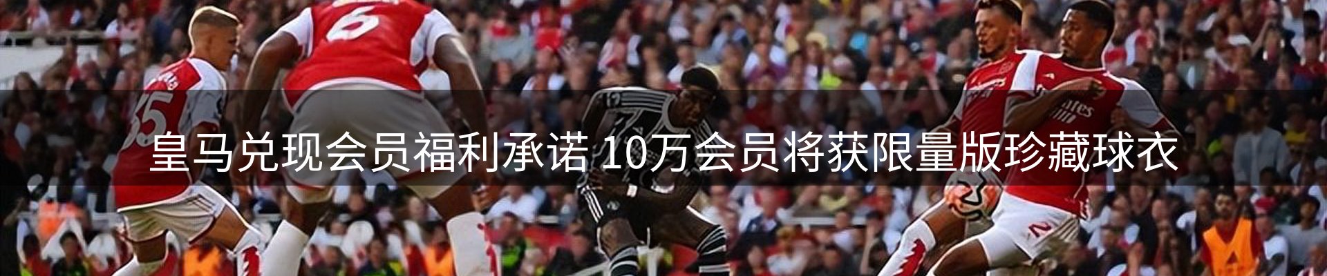 平台视角